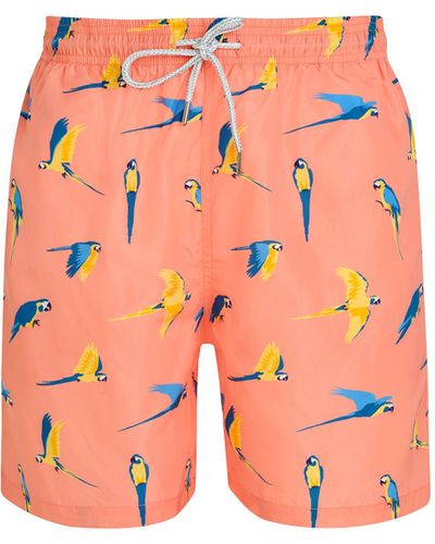 Robert & Son Peach Macaw Swim Shorts - Pink