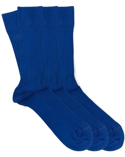 Dalgado 3-pack Scottish Lisle Cotton Socks Royal Fabio - Blue