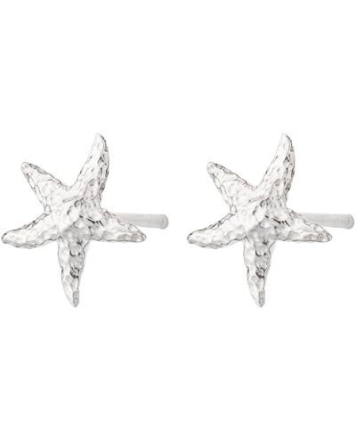 Lily Charmed Sterling Starfish Stud Earrings - Metallic