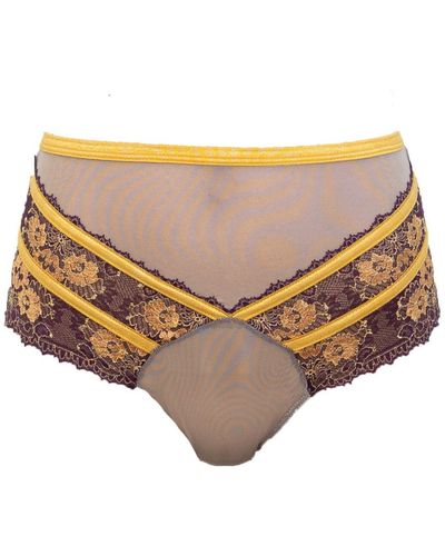 Carol Coelho Babylon Exquisite Highwaisted Lace & Tulle Panty - Multicolor