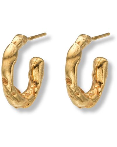 EVA REMENYI Talisman Small Hoop Earrings 14 Ct - Metallic