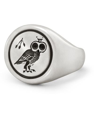 Snake Bones Owl Signet Ring In Sterling - Metallic