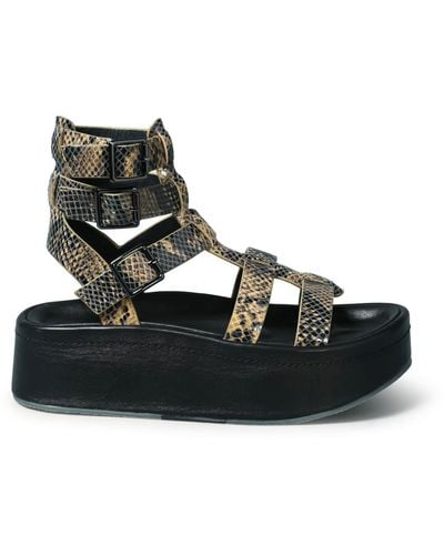Rag & Co Neutrals Cruz Gladiator Platform Leather Sandal In Snake Print - Black