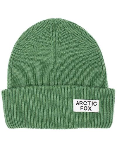 Arctic Fox & Co. The Recycled Bottle Beanie In Forest Fern - Green