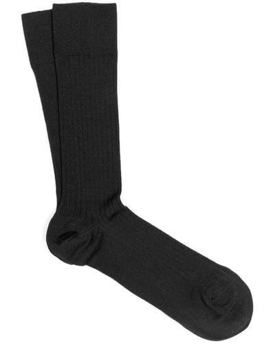 Dalgado 3-pack Scottish Lisle Cotton Socks Vicente - Black