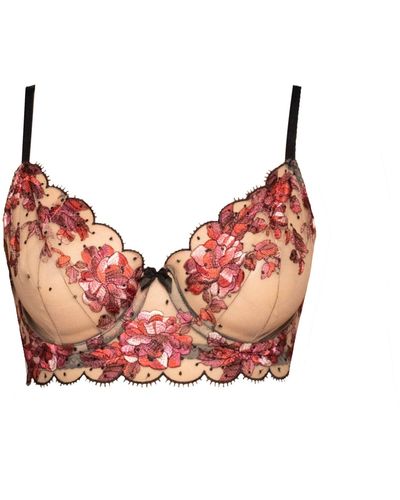 Carol Coelho Blossom Floral Embroidered Tulle Underwire Bra