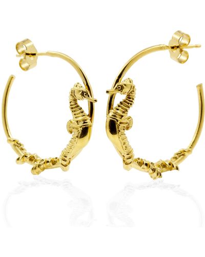 Lee Renee Seahorse Hoop Earrings – Gold - Metallic