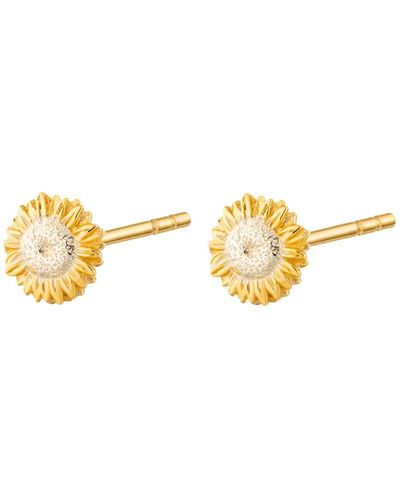 Lily Charmed Gold Plated Sunflower Stud Earrings - Metallic