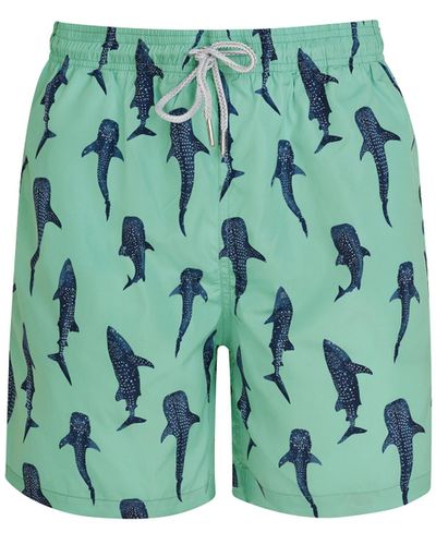 Robert & Son Whale Shark Swim Shorts - Green