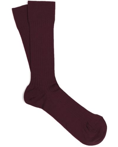 Dalgado 3 Pack Scottish Lisle Cotton Socks Burgundy Ruben - Purple