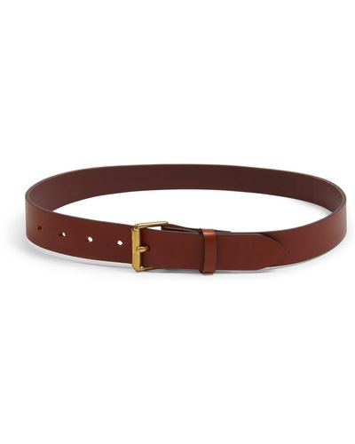 Burrows and Hare Bridle Leather Belt - Brown