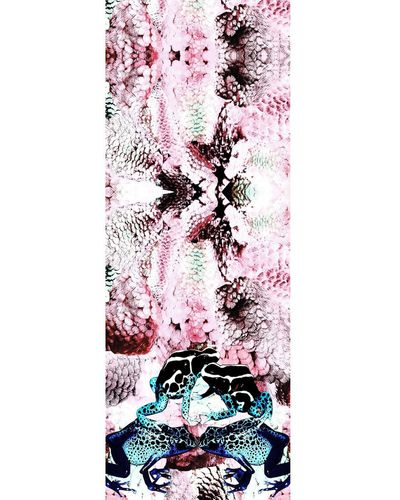 CASSANDRA HONE Frogs & Feathers Pink Small Silk Scarf - Multicolor