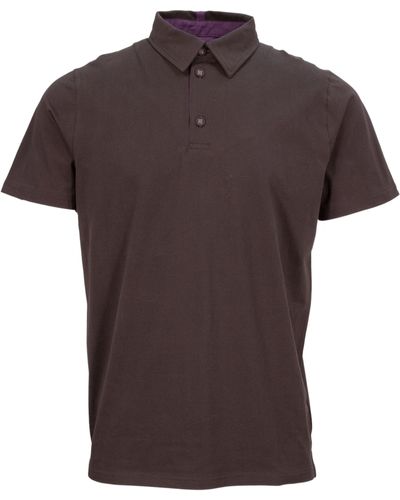 lords of harlech Pietro Polo Shirt - Brown