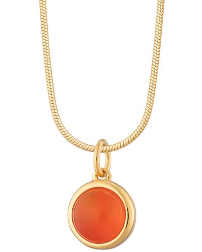 Lily Charmed Plated Orange Agate Touchstone Necklace With Slim Snake Chain - Metallic