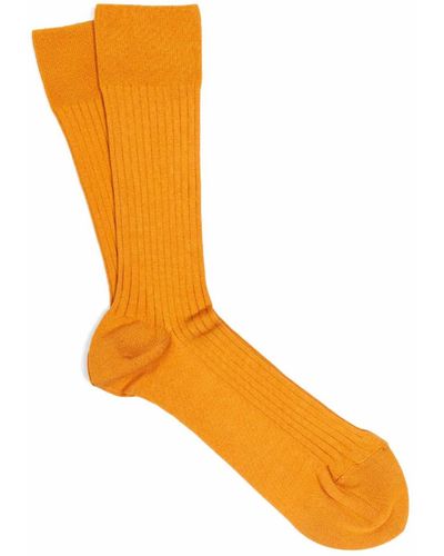 Dalgado 3-pack Scottish Lisle Cotton Socks Saffran Joao - Orange