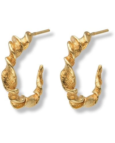 EVA REMENYI Twisted Hoop Earrings 14 Ct - Metallic
