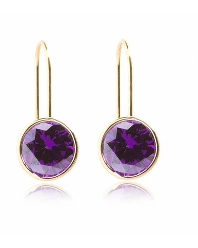 Georgina Jewelry Amethyst Crystal Luxe Hook Earrings - Multicolour