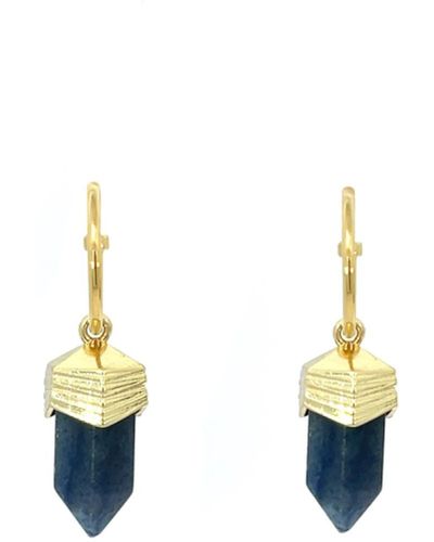 Gosia Orlowska Amari Crystal Hexagonal Pendulum Earrings Blue Sodalite - Metallic