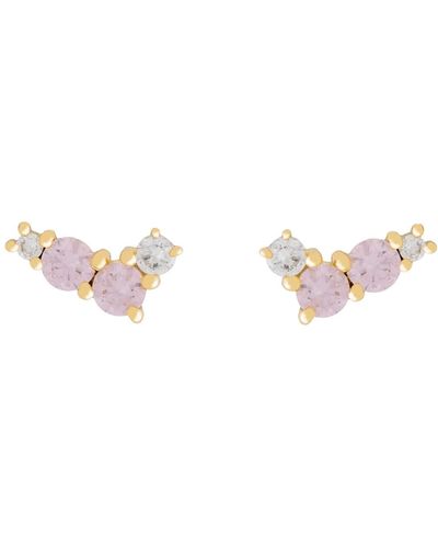 Lavani Jewels Pink Goldplated Zaria Earrings