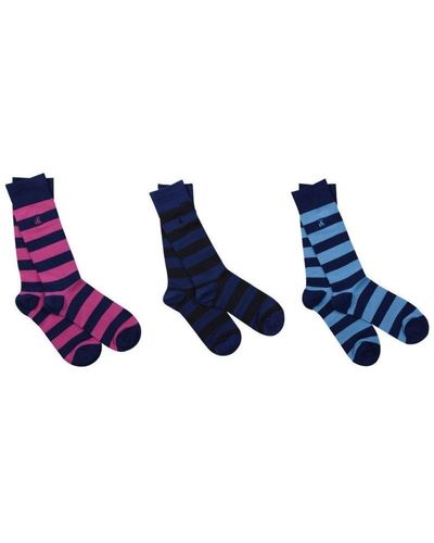 Swole Panda Stripey Sock Box - Blue