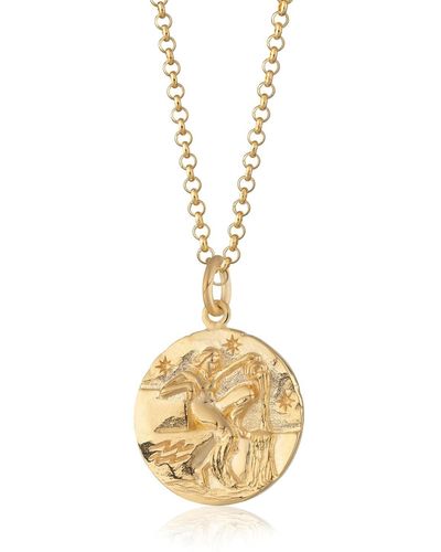 Scream Pretty Aquarius Zodiac Necklace - Metallic