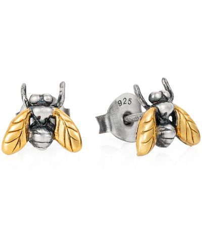 Yasmin Everley Gilded Little Fly Stud Earrings - Metallic