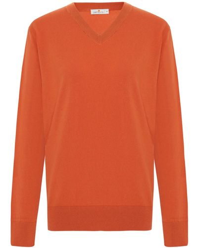 Peraluna Mateo V-neck Pullover In Orange
