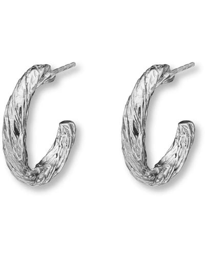 EVA REMENYI Archaic Small Hoop Earrings - Metallic