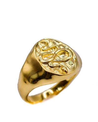 Aaria London Snake Signet Ring - Metallic