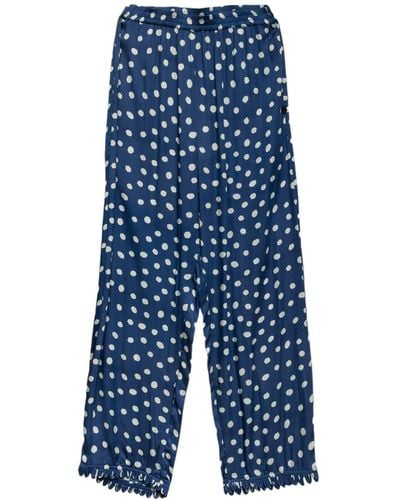 Niza Straight Pants With Polka Dots - Blue