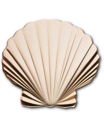 Make Heads Turn En Pin Seashell - White