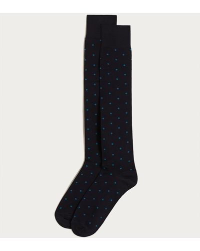 Yamamay Calze lunghe blu con pois - Daily