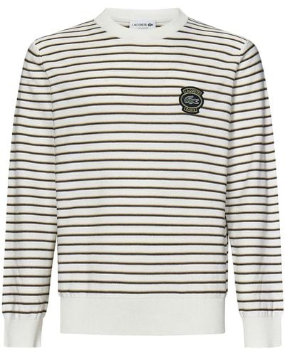 Lacoste Pullover - Gris