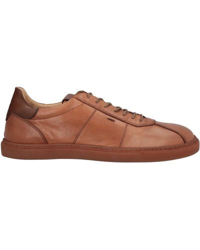 Ernesto Dolani Sneakers - Brown