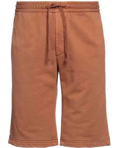 Circolo 1901 Shorts & Bermuda Shorts - Brown