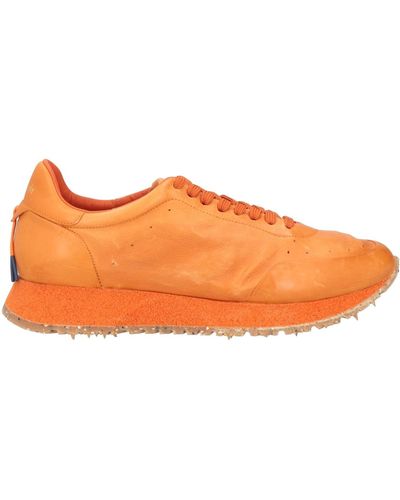 Barracuda Sneakers - Orange