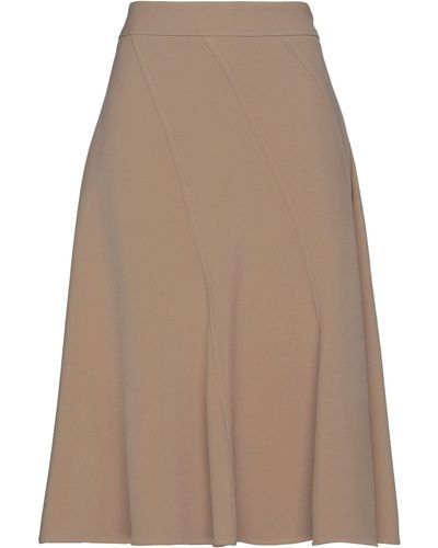 Peserico Midi Skirt - Brown