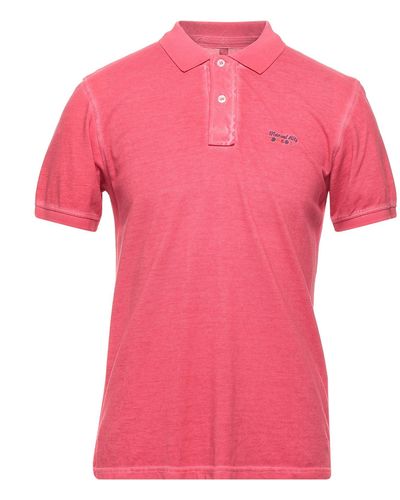 Manuel Ritz Polo Shirt - Pink