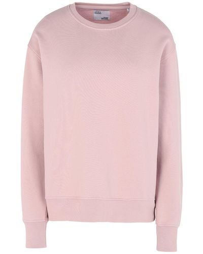 COLORFUL STANDARD Sweatshirt - Pink