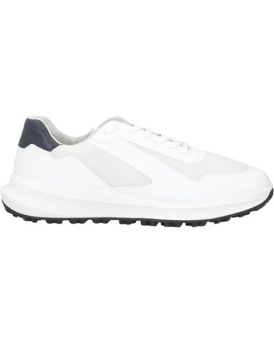 Geox Sneakers - Blanc