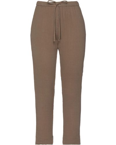 Xirena Pants - Brown