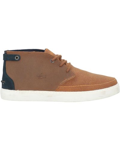 Lacoste High-tops & Sneakers - Brown