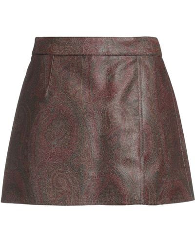 Etro Mini Skirt - Brown