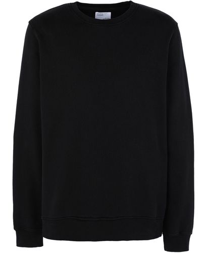 COLORFUL STANDARD Sweatshirt - Black