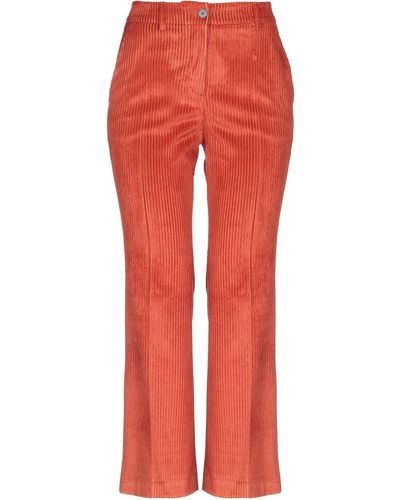 Incotex Pants - Orange