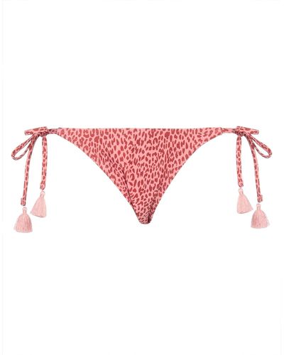 Barts Bikini Bottom - Pink