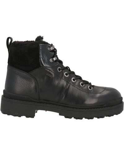 Geox Bottines - Noir