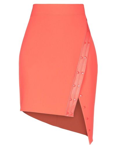 Elisabetta Franchi Midi Skirt - Pink