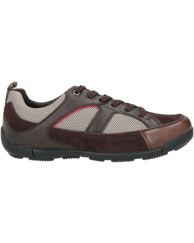 Geox Sneakers - Brown