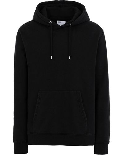 COLORFUL STANDARD Sweatshirt - Black
